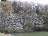 0411小室公園2.jpg