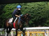 0526JRA競馬学校