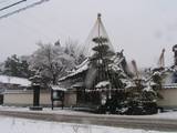 080203雪吊り.jpg