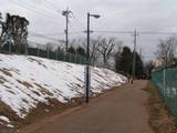 080209雪の名残.jpg