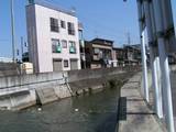 080322坂川の境目.jpg