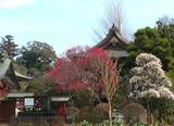08_0309延命寺.jpg