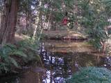 08_0309清戸の泉.jpg