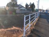 090102師戸川源流(高花3).jpg