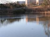 090111清水口調整池.jpg