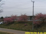 090308_道の駅沼南.JPG