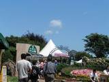 090607_京成バラ園.jpg