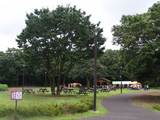 090704_BBQガーデン1.jpg