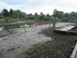 20081003水元公園池.jpg