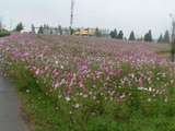 20081011牧の原.jpg