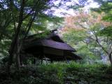 20081014六義園.jpg