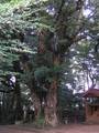 20081015風早神明ミ.jpg