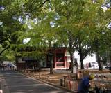 20081018葛飾八幡宮の朝.jpg
