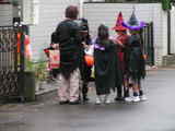 20081026馬ュメの群れ.JPG