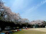 4月05日平塚分校校庭.jpg