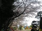 4月05日宝幼稚園.jpg
