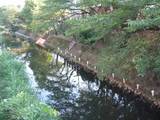 坂川8月10日松戸神社前