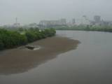 砂州の出た江戸川