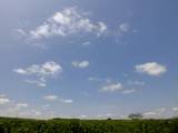 110828_青空.jpg