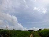 110903_ちょっと青空.jpg
