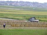 110911_天日干.jpg