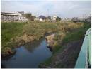 111103_古隅田川.jpg