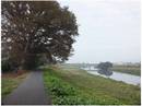 111103_大落古利根川1.jpg