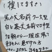 120115_尋ね犬.jpg