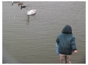120122_調整池の朝.jpg