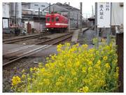 120226_銚子電鉄仲ノ町駅.jpg