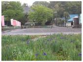 120504_来迎寺.jpg