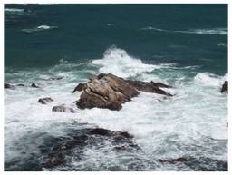 120505_太海浜の磯.jpg