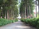 120526_日本寺参道.jpg