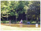 120825_香澄公園.jpg