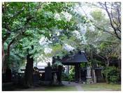120826_西輪寺.jpg