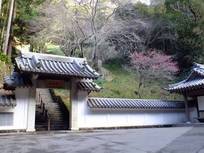 130203_伏姫籠穴入口.jpg