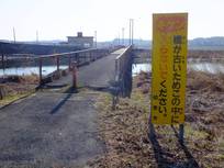 130211_キケンな橋.jpg