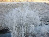 130211_樹氷?.jpg