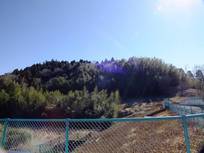 130216_大椎城跡の山.jpg