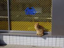 130217_招き猫.jpg