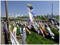 130505_国分川.jpg