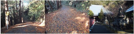 131221_小松寺.jpg