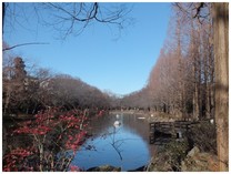 131230_貝柄山公園.jpg