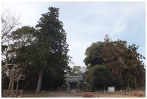 140104_宗像神社.jpg