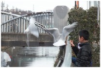 140105_大柏川.jpg