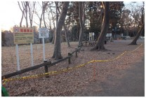 140111_井の頭公園の通り沿い.jpg