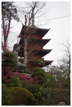 140301_中山法華経寺.jpg