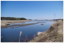 140315_手賀沼.jpg