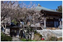 140315_来迎寺.jpg