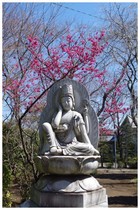 140322_大圓寺1.jpg